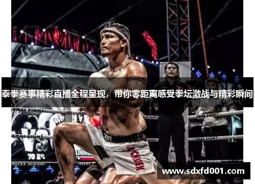 泰拳赛事精彩直播全程呈现，带你零距离感受拳坛激战与精彩瞬间