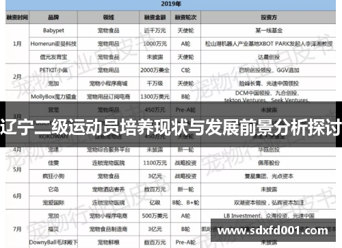 辽宁二级运动员培养现状与发展前景分析探讨