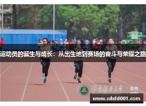 运动员的诞生与成长：从出生地到赛场的奋斗与荣耀之路