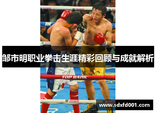 邹市明职业拳击生涯精彩回顾与成就解析